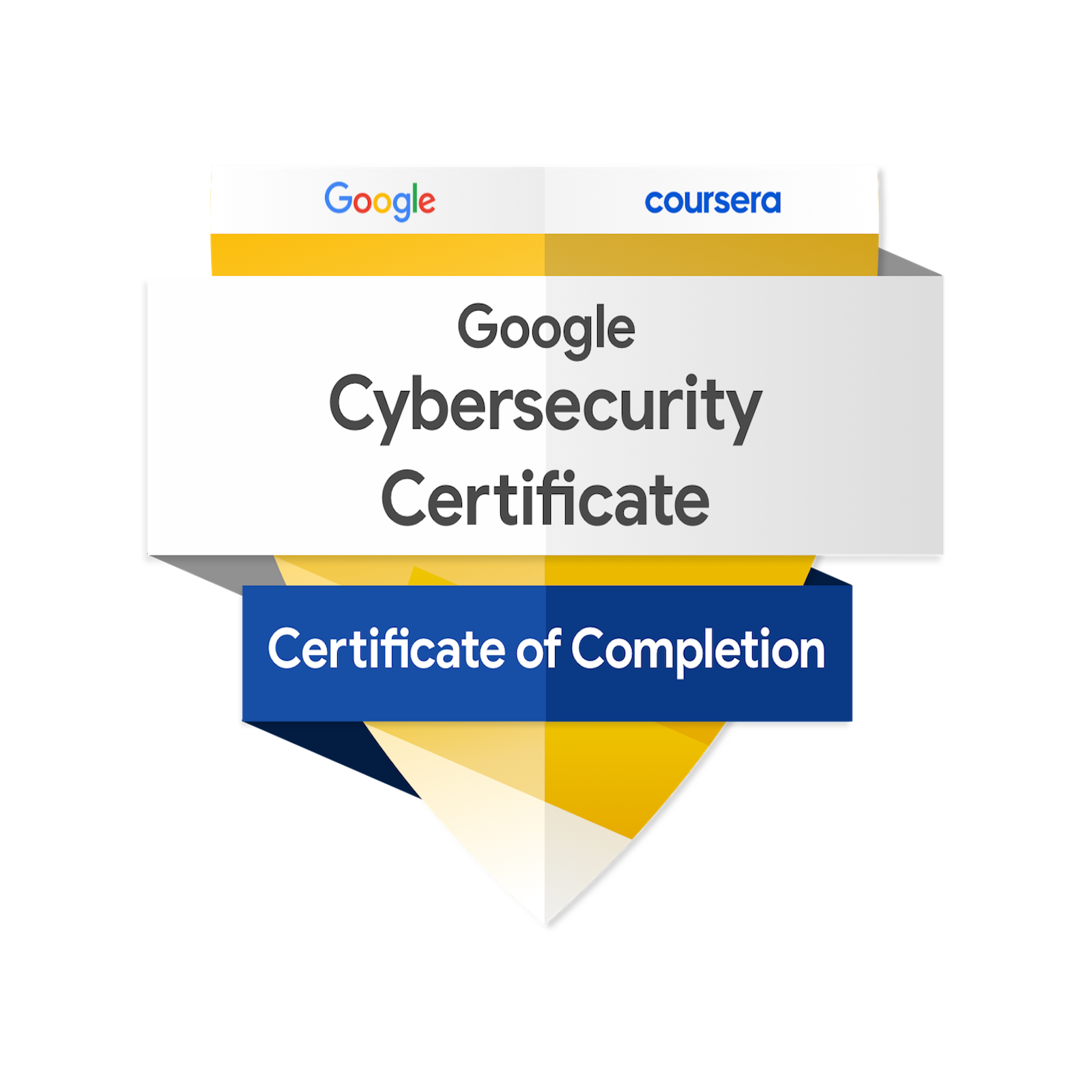 Complete Begginer Learning Path Certificate